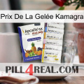 Prix De La Gelée Kamagra 11